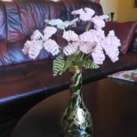 DSC_1177.jpg