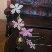 DSC_1183.jpg