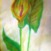 20160707_181823.jpg
