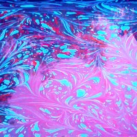 DSC_1358.jpg