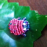 20180802_094643.jpg