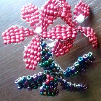 20180802_094738.jpg